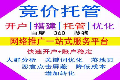 行业领先企业如何通过SEM运营提升ROI